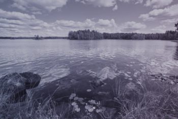 Kesäinen maisema