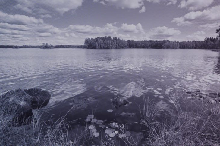 Kesäinen maisema