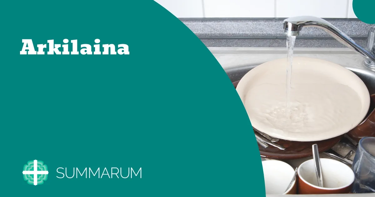 Summarum Arkilaina 2025