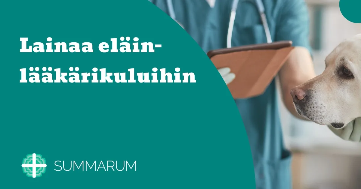 Summarum Lainaa eläinlääkärikuluihin 2025