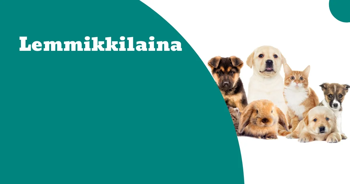 Summarum Lemmikkilaina 2025