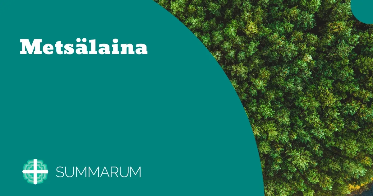 Summarum Metsälaina 2025