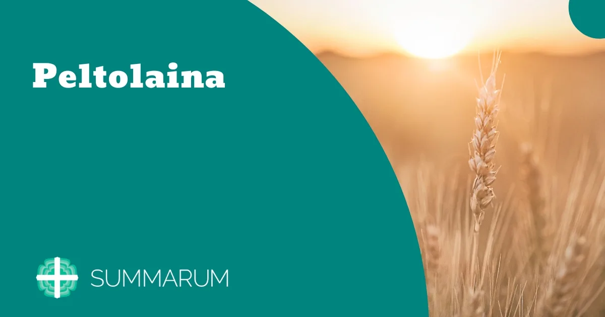 Summarum Peltolaina 2025