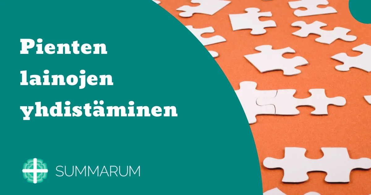Summarum Pienten lainojen yhdistäminen 2025