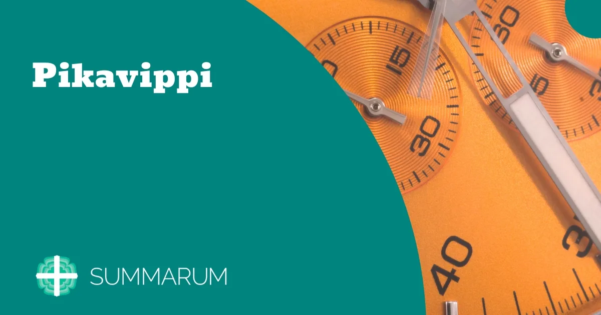 Summarum Pikavippi 2025